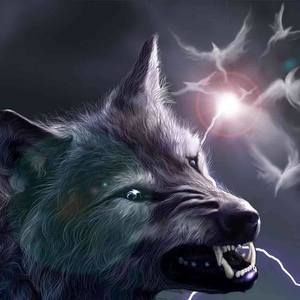 Meet your Posher, Rhonda